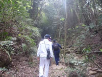 山口市秋穂の大海山、勘十郎岳の周遊コース