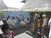 第4回 かわむら歯科夏祭り