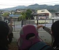 第7回 かわむら歯科山登りイベント